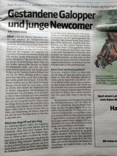 Gestandene Galopper und junge Newcomer