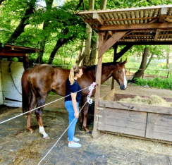 Worrick in seinem neuen Zuhause nach der Rennkarriere © privat