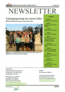 Newsletter 01/2013